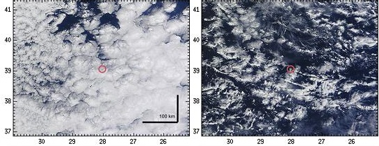 QIN1.jpg