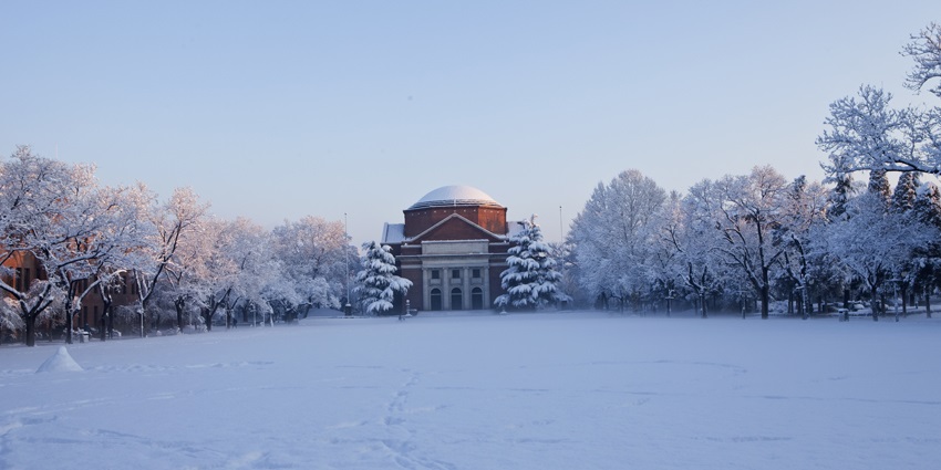 SNOW.jpg