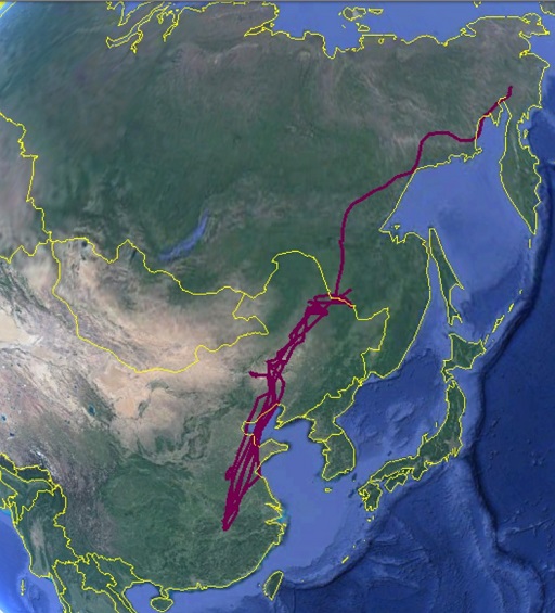 文中图片3.jpg