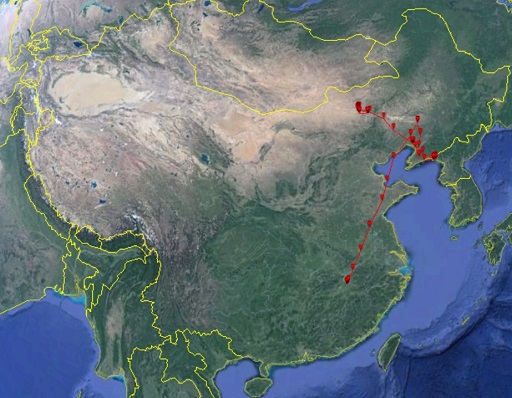 文中图片4.jpg
